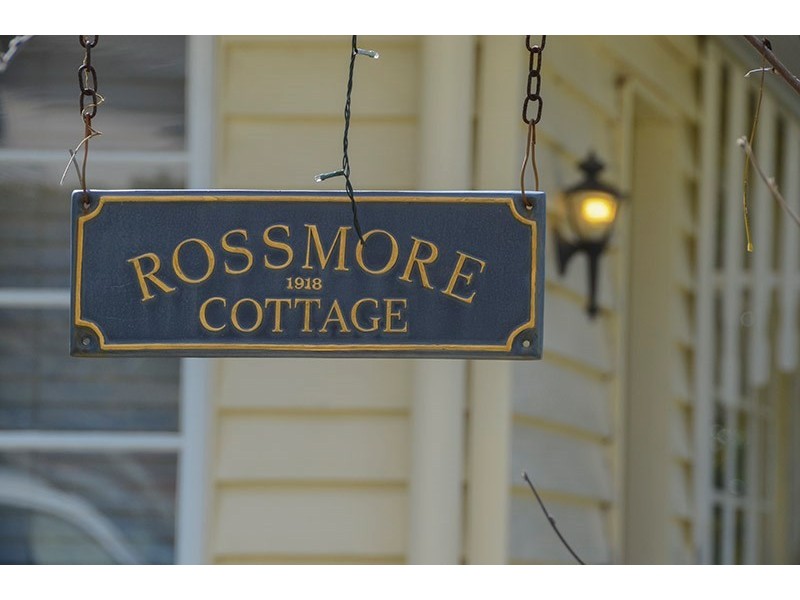 8 Brook Street, Hendra QLD 4011