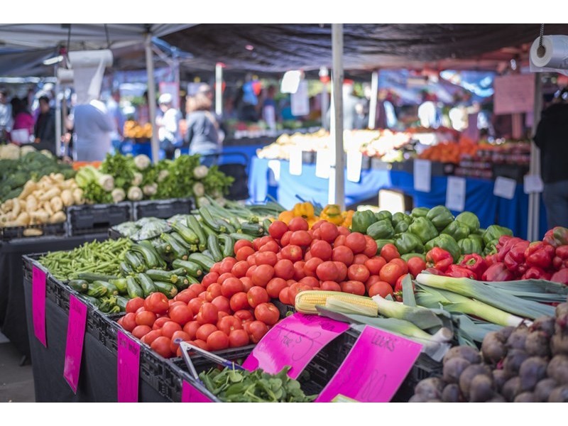 3/145 Windermere Road, Hamilton QLD 4007