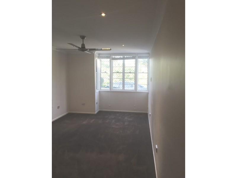 20A Pine Street, Hamilton QLD 4007