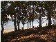 179 Sylvan Beach Esplanade, Bribie Island QLD 4507