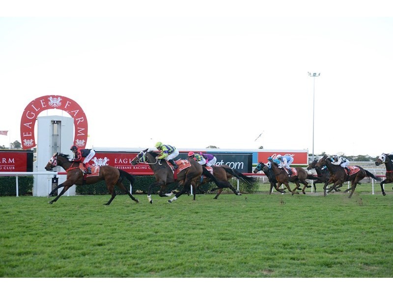 62 Mein Street, Hendra QLD 4011