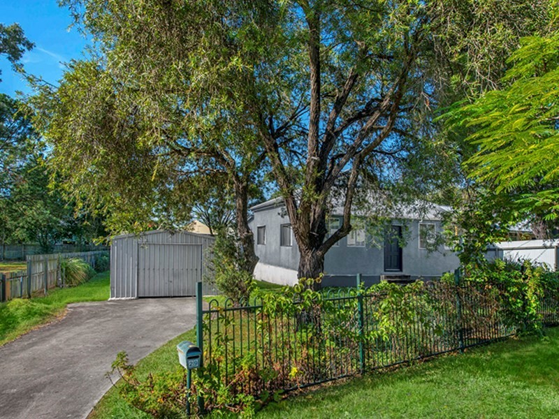 29 Carter Street, Northgate QLD 4013
