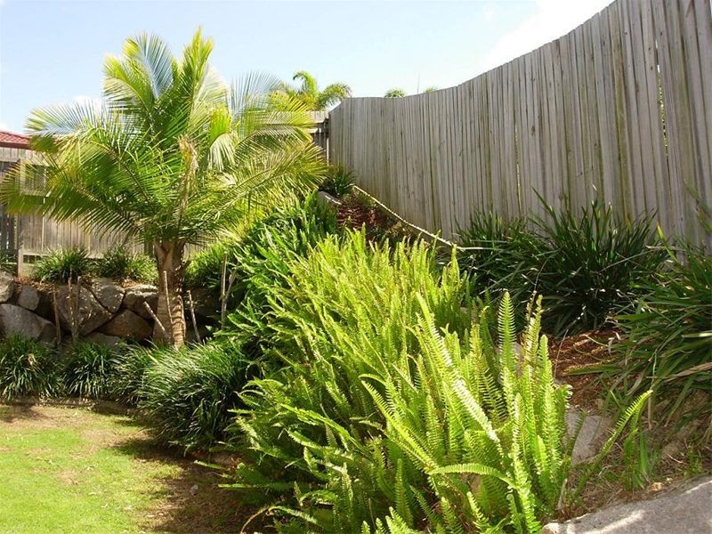 3 Dundee Street, Upper Kedron QLD 4055