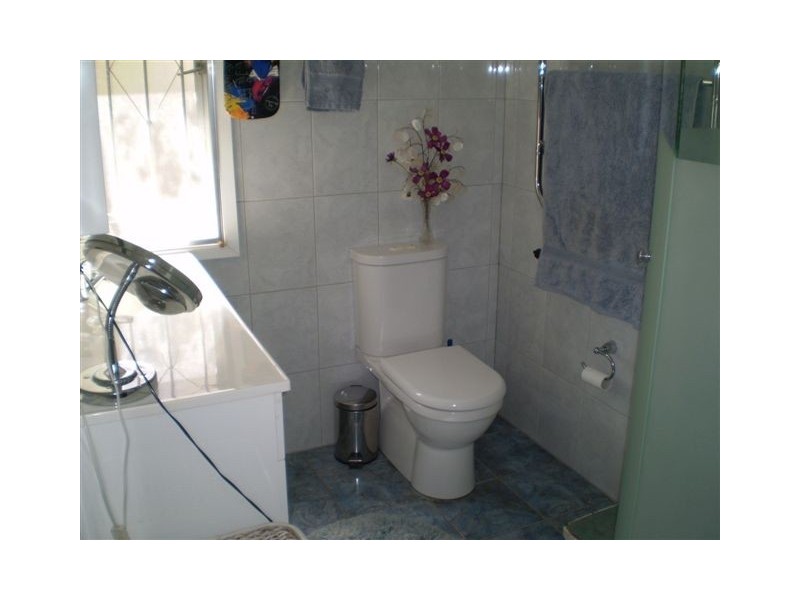 51 Annie Street, Hamilton QLD 4007