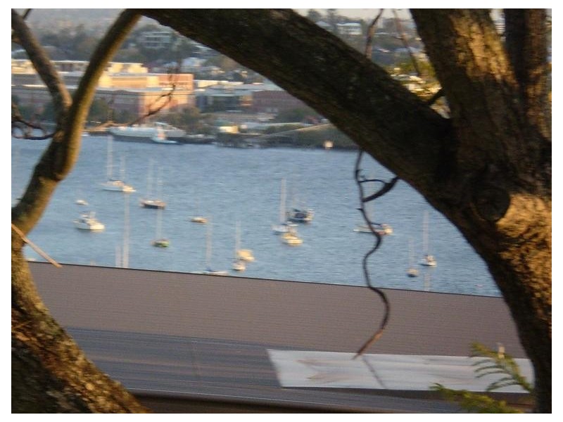 51 Annie Street, Hamilton QLD 4007