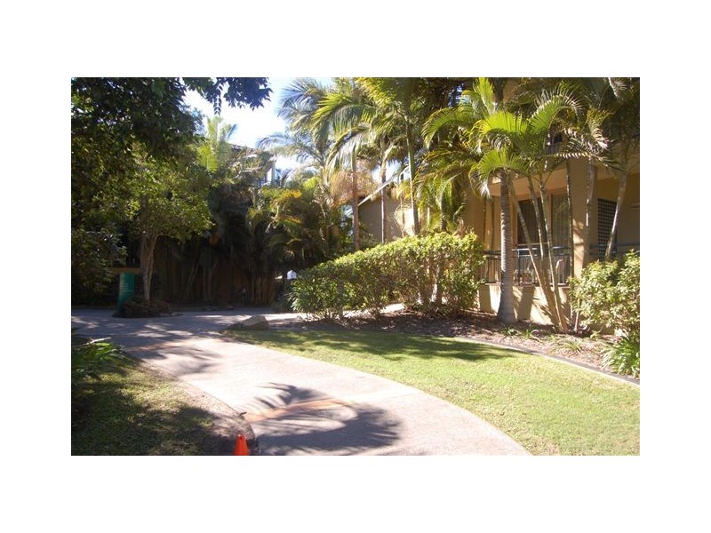 282/64 Palm Meadows Drive, Carrara QLD 4211