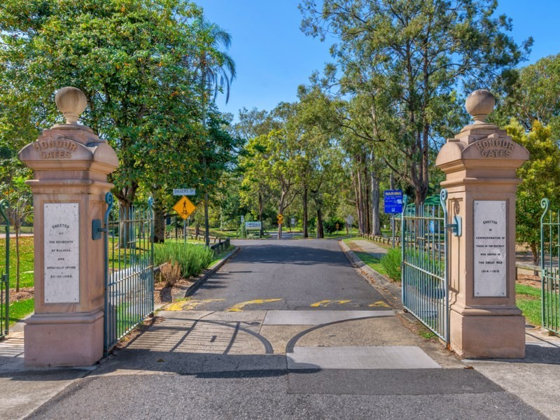 83 Park Avenue, Clayfield QLD 4011