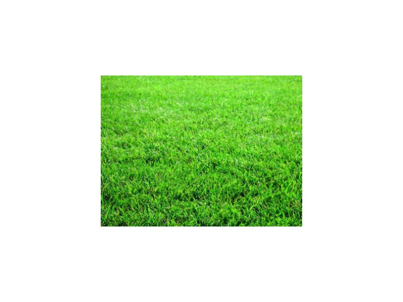 12 Long Street, Hendra QLD 4011