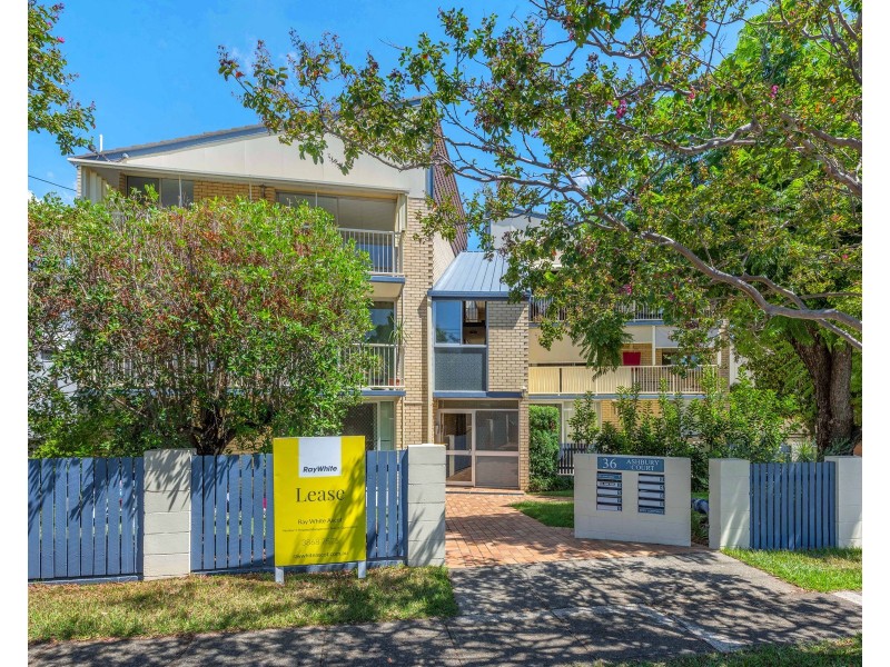 3/36 Scott Road, Herston QLD 4006