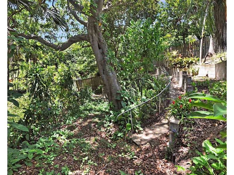 34 Joynt Street, Hamilton QLD 4007