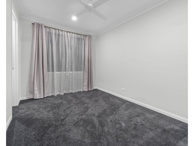 147 Allen Street, Hamilton QLD 4007