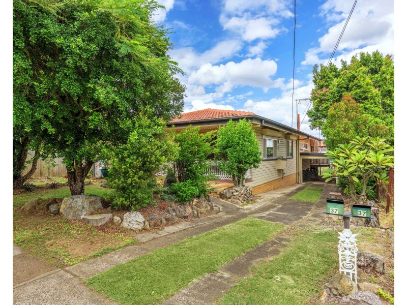37 Manson Road, Hendra QLD 4011