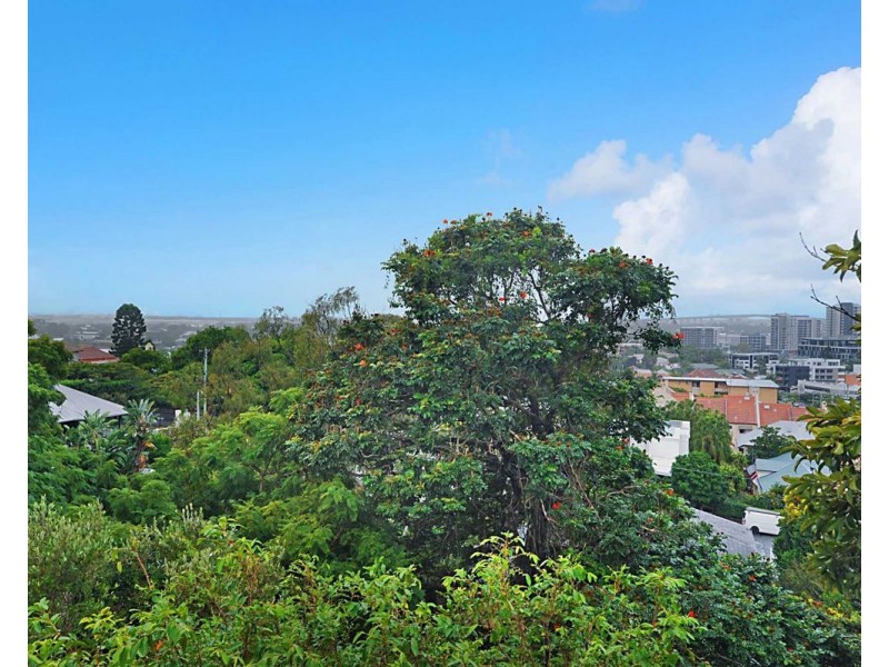 50 Markwell Street, Hamilton QLD 4007