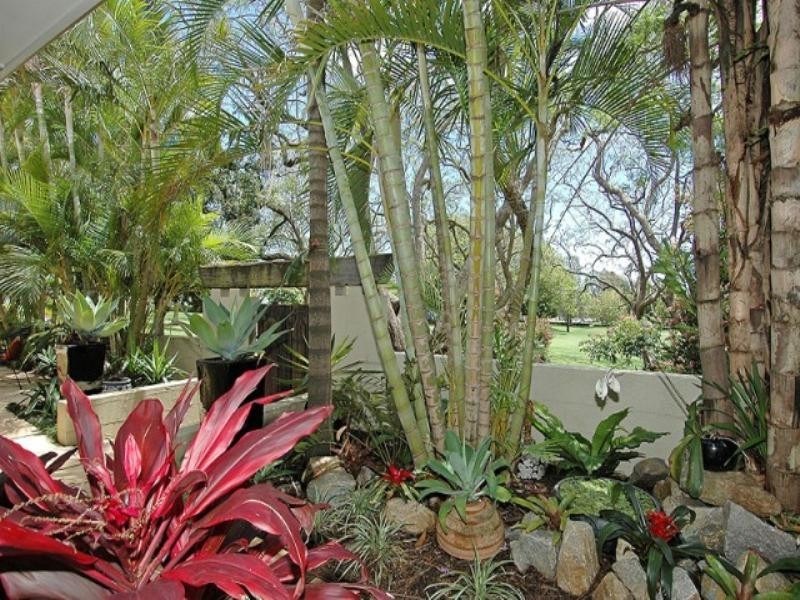 54 Goodwood Street, Hendra QLD 4011