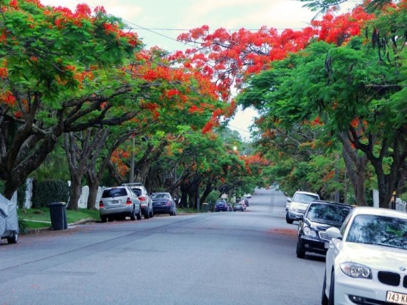 60 Yabba Street, Ascot QLD 4007