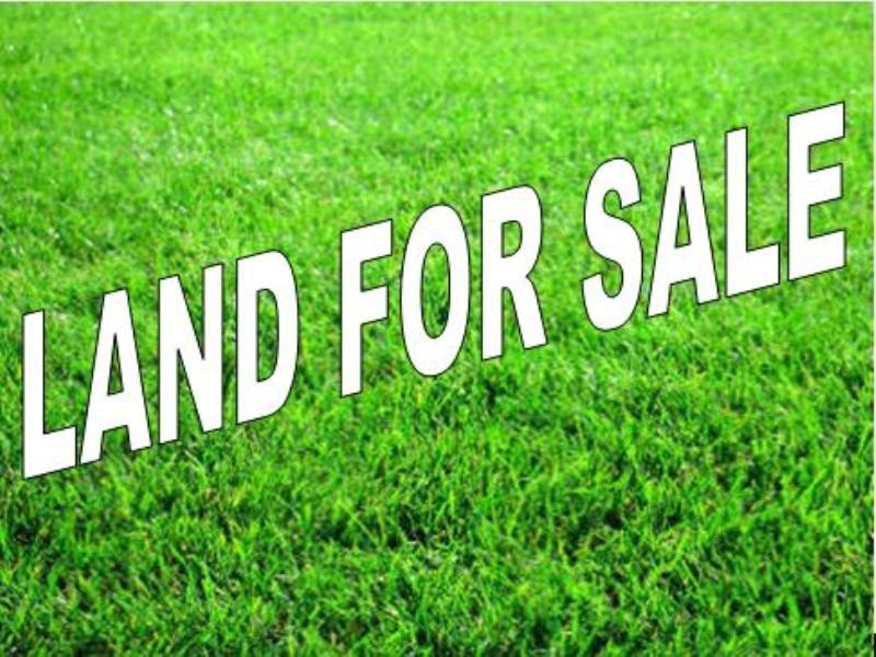 90 Boothyby Street, Wavell Heights QLD 4012