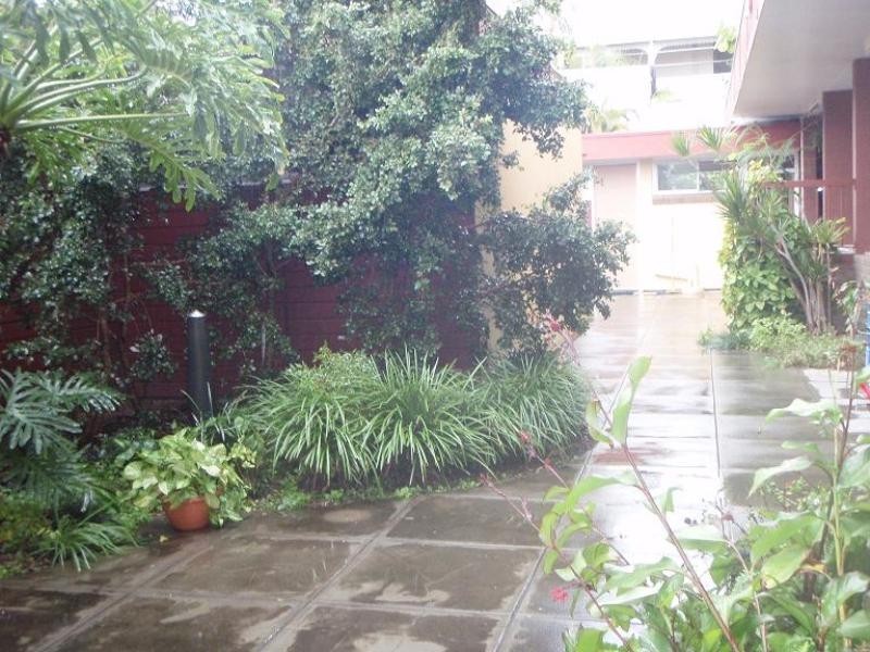 3/43 View Street, Wooloowin QLD 4030