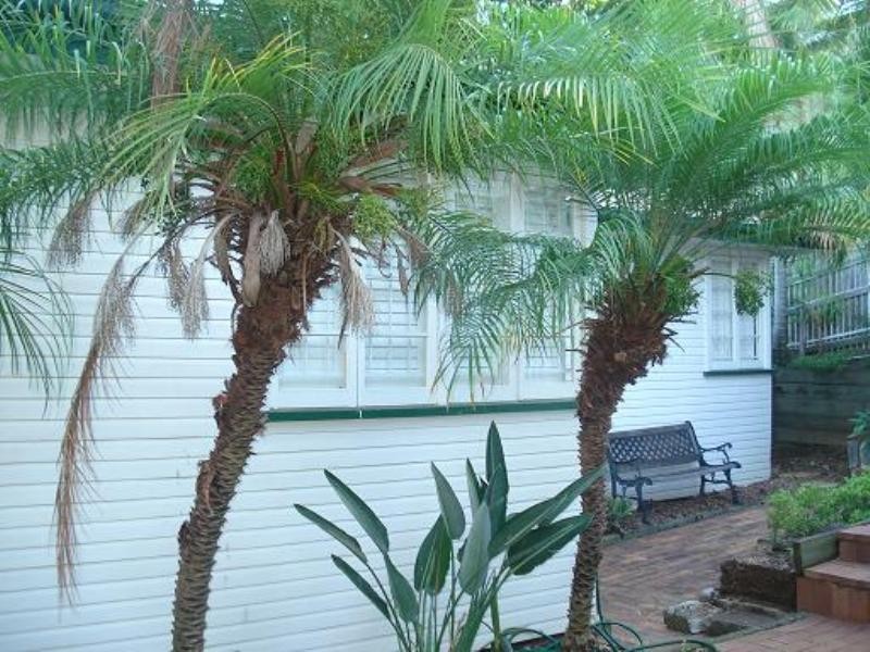 24 Joynt, Hamilton QLD 4007