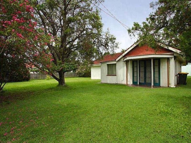 55 Junior Terrace, Northgate QLD 4013