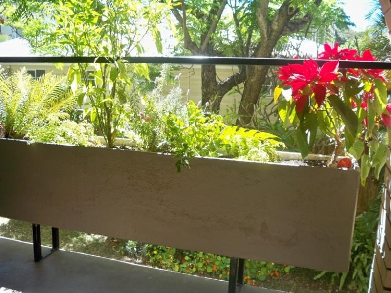 5/84 Charlton Street, Ascot QLD 4007