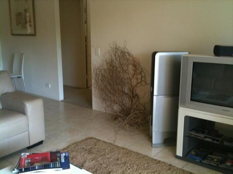 6/27 Dobson Street, Ascot QLD 4007