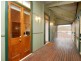92 Macrossan Avenue, Norman Park QLD 4170