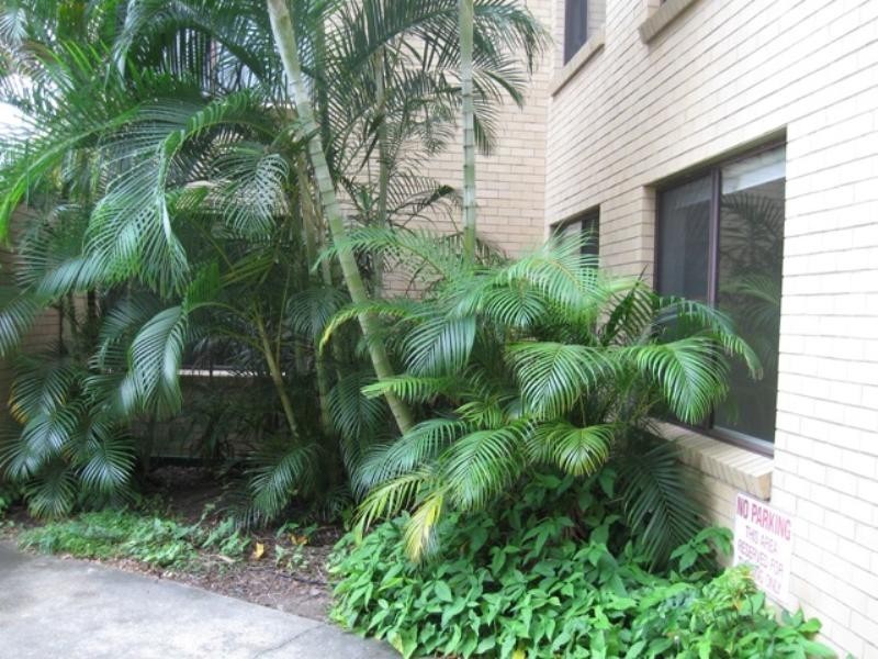 2/15 Junction Road, Clayfield QLD 4011