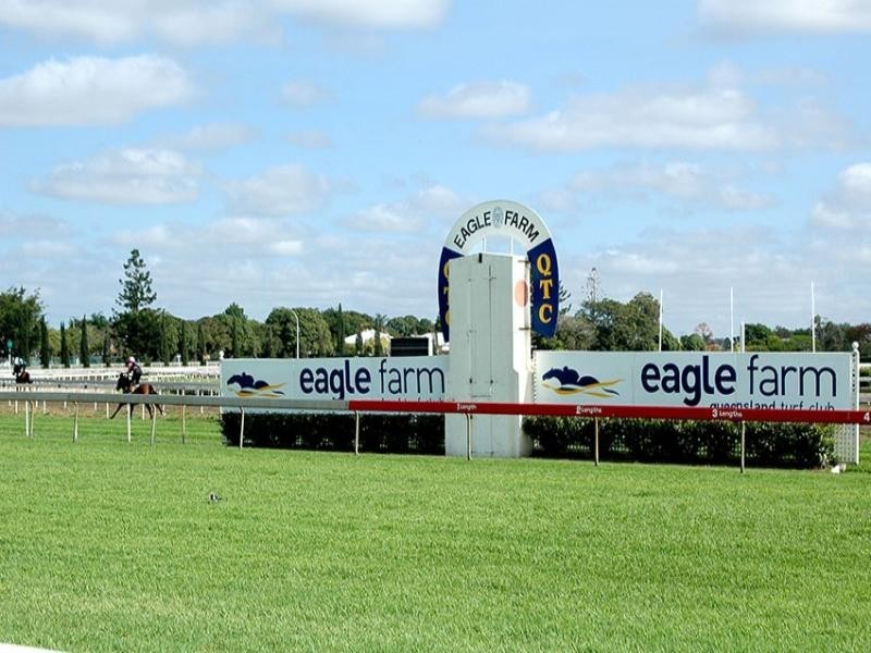 19 O’Sullivan Street, Hendra QLD 4011