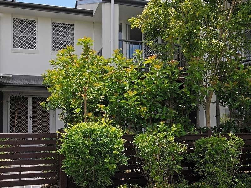 83 The Avenue (Millbrook Estate), Hendra QLD 4011