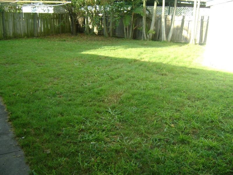 15 Winchester, Hamilton QLD 4007