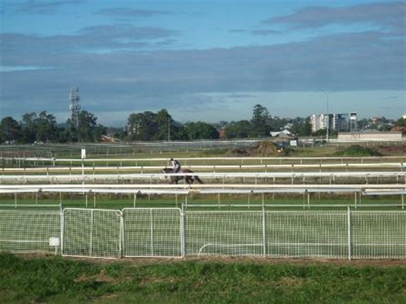 66 Mein Street, Hendra QLD 4011