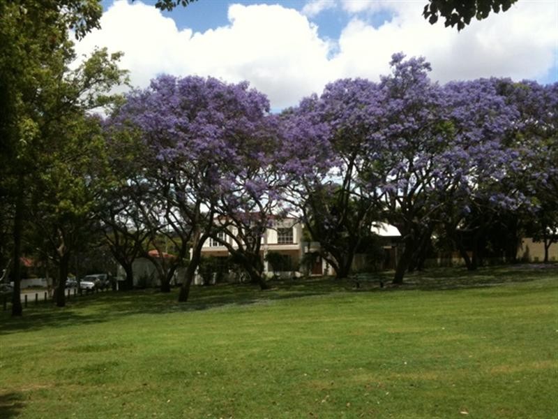 56 Goodwood Street, Hendra QLD 4011