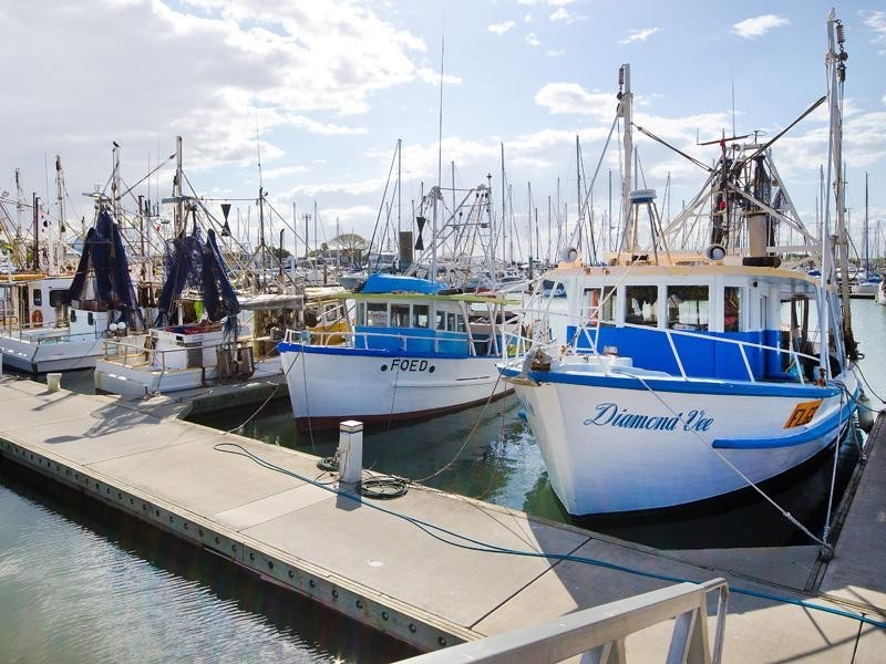 3 (Lot 26) Second Avenue, Scarborough QLD 4020