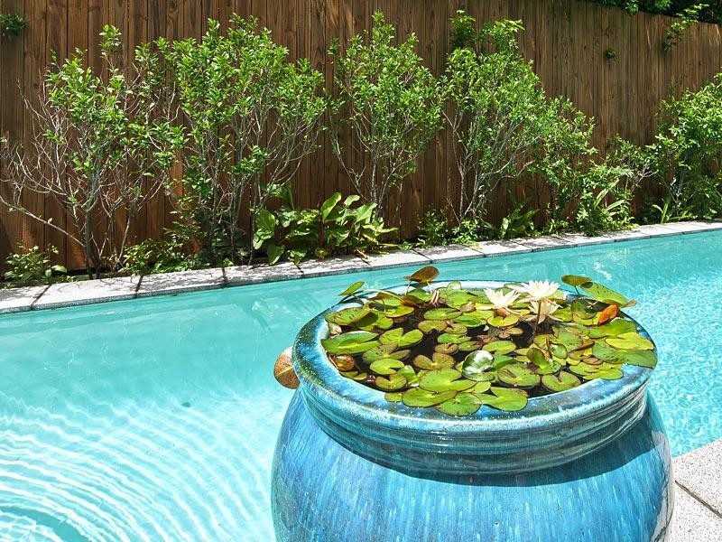 76 Towers Street, Ascot QLD 4007