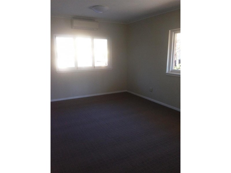 19 Circe Street, Hamilton QLD 4007