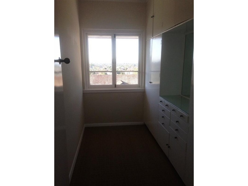 19 Circe Street, Hamilton QLD 4007