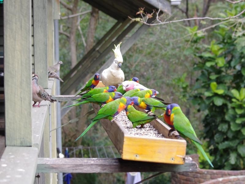 173 Lochinvar Road, Upper Kedron QLD 4055