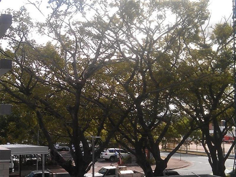 13/32 Agnes Street, Albion QLD 4010