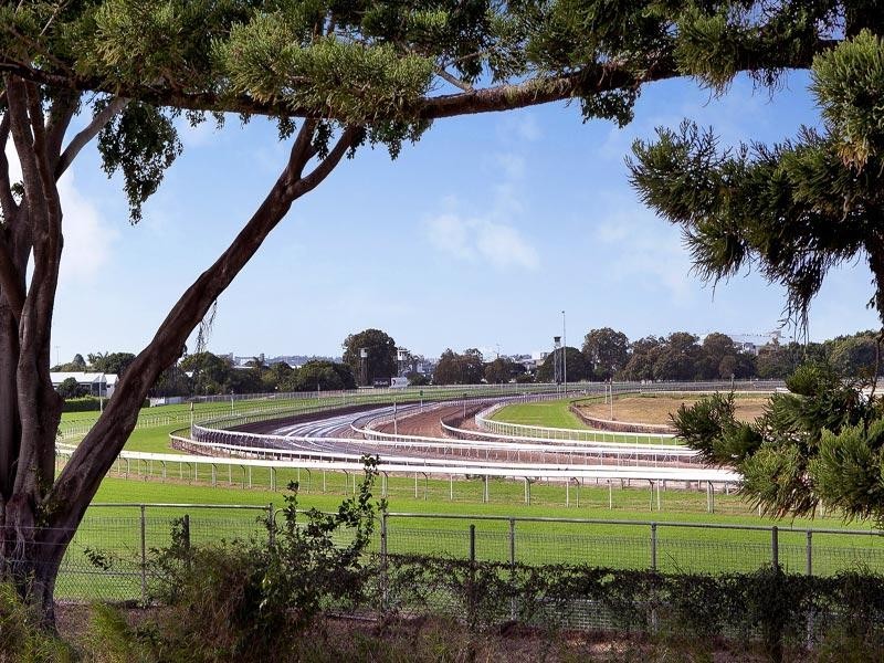 65 Gordon Street, Hendra QLD 4011