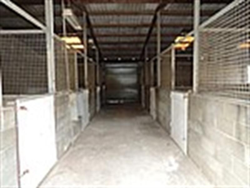 15 Bulli Street, Hendra QLD 4011