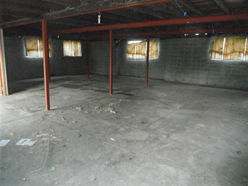 66 Raceview Avenue, Hendra QLD 4011