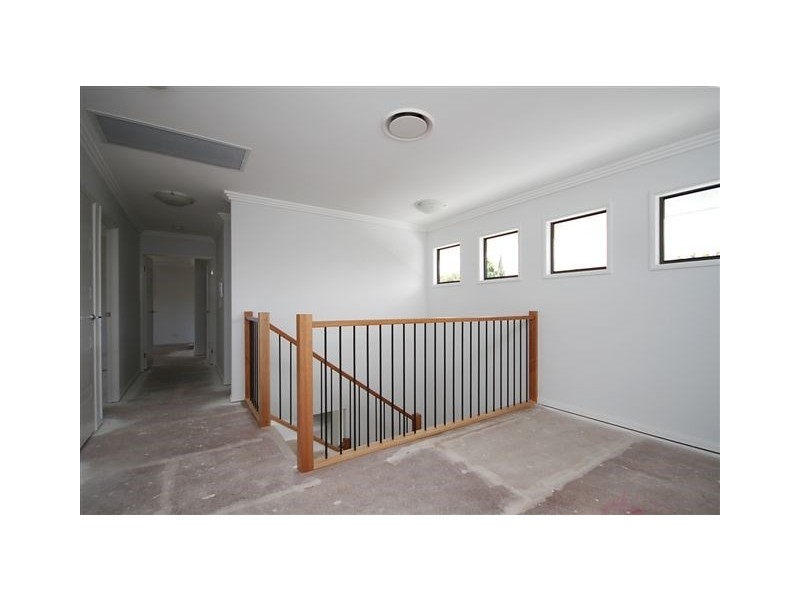 55 Junior Terrace, Northgate QLD 4013