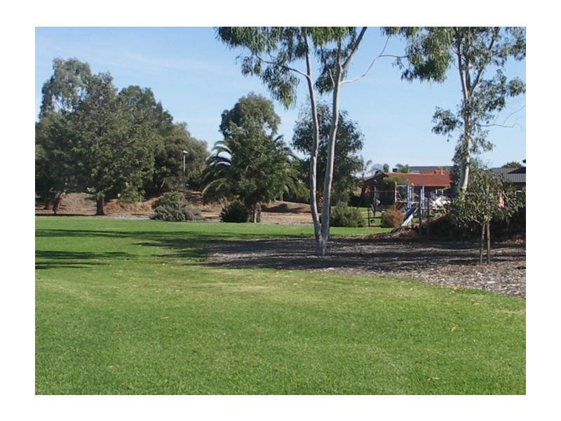 17 Frome Crescent, West Lakes SA 5021