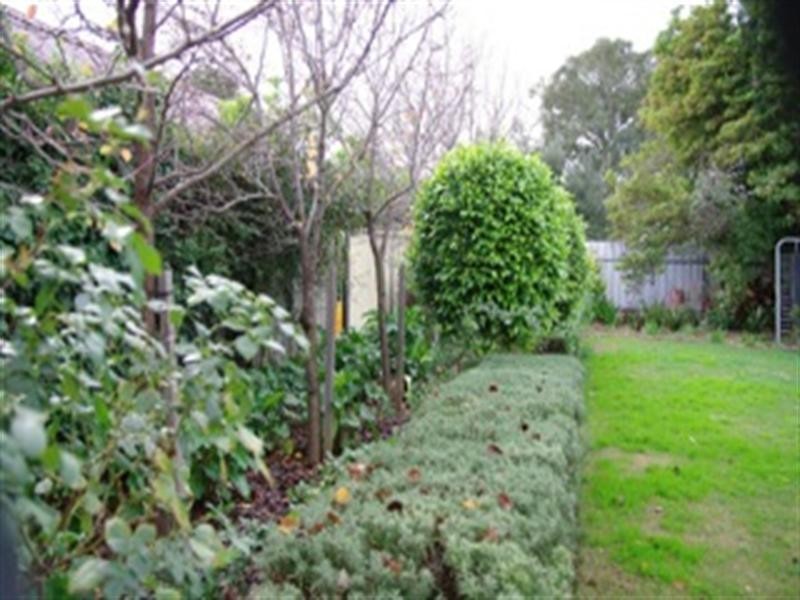 129 Coombe Road, Allenby Gardens SA 5009