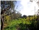 11 Rondo Avenue, Findon SA 5023