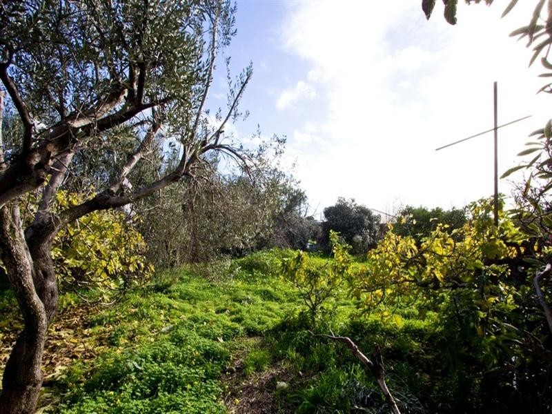 11 Rondo Avenue, Findon SA 5023