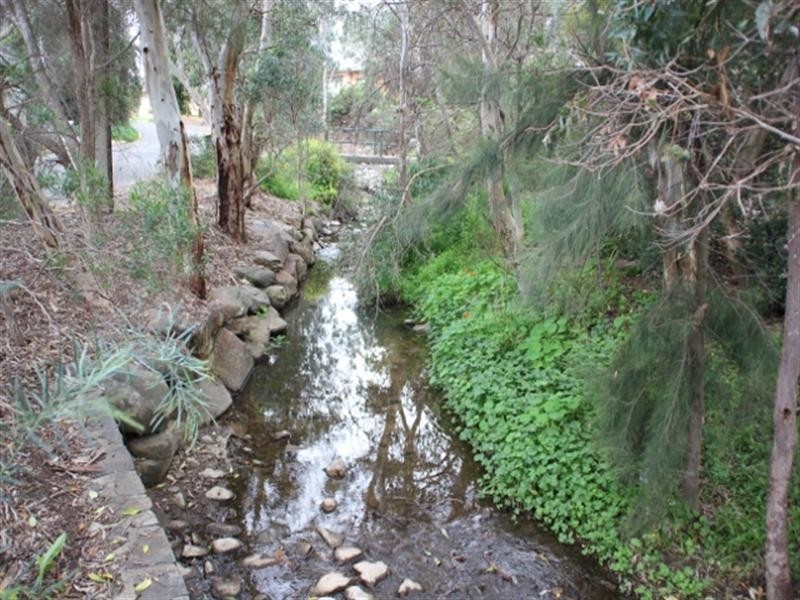 8 Melory Court, Magill SA 5072