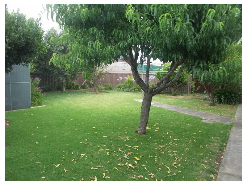 31 Jamaica Avenue, Fulham Gardens SA 5024