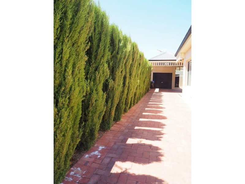 71 Crown Terrace, Royal Park SA 5014