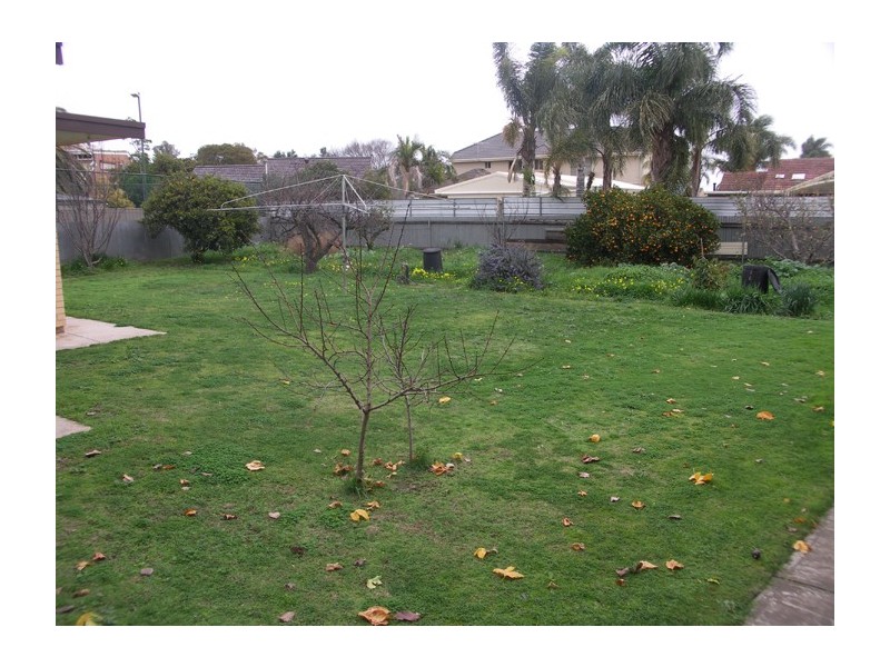 11 Jasmine Grove, Fulham Gardens SA 5024